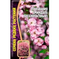 Редкие растения Луизиания (Миндаль трехлопастной) 3шт