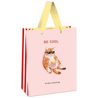 Пакет подарочный 11*14*6,5см "Be cool" выб. лак мат. ламинация MESHU/Рельеф