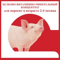 БВМК для поросят от 2-4 месяцев россыпь 25кг БВМК для поросят от 2-4 месяцев россыпь 25кг