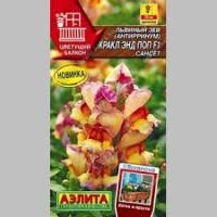 Аэлита Львиный зев Кракл энд поп F1 сансет 7шт 