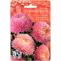 Биотехника Астра Хризантелла Фламинго на закате 30шт