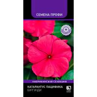 Поиск Катарантус Пацифика Бургунди 10шт