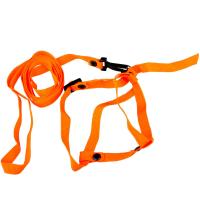 Поводок Комплект д/кошек (поводок+шлейка) подклада,капрон/20177/Биосфера