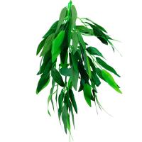 Растение Рускус 001TP 300мм Repti-Zoo/84045010 Растение Рускус 001TP 300мм Repti-Zoo/84045010