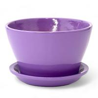 Кактусник Беллита глянец сирен 12см 0,45л 905/1 