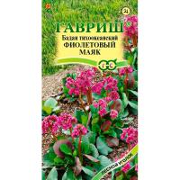 Бадан тихоокеанский Фиолетовый маяк 0,01г