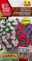 Аэлита Катарантус Малыш карликовый, смесь сортов 0,05г 