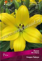 Лилия ЛА-Гибрид Голден Тайкун (12/14) 5 шт 