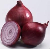 Лук-севок Кармен 0,5кг+-10% 