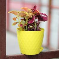 Кашпо Румба 1л лимон с прик. поддоном