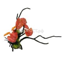 Грот Decor206 Коряга с растением 27*22*24см/Салекс