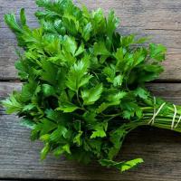 PROROST XXXL Петрушка листовая Итальянский Гигант 20г