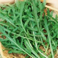 НК Двурядник тонколистный (индау, рукола) Покер 1г 