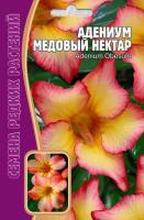 Адениум Медовый Нектар 3 шт