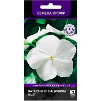 Поиск Катарантус Пацифика Вайт 10шт