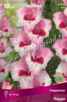 Гладиолус Крупноцветковые Перри (10/12) 10 шт 