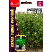 Редкие растения Сосна кустовая Муугус 10 шт