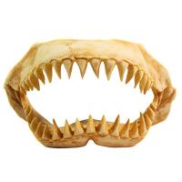 Грот Deksi Челюсти динозавра 1003 31*13*17/Ф7207 Грот Deksi Челюсти динозавра 1003 31*13*17/Ф7207