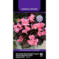 Поиск Комн. Бегония вечноцветущая бронзоволистная Бада Бум Пинк 15шт