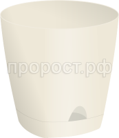 амстердам слив амстердам слив