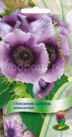 Глоксиния Харизма Лавандовая