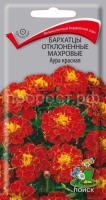 Бархатцы отклоненные махровые Аура красная Бархатцы отклоненные махровые Аура красная