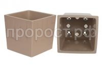 квадро фраппе квадро фраппе