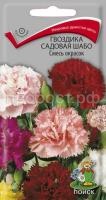 Гвоздика садовая Шабо Смесь окрасок Гвоздика садовая Шабо Смесь окрасок