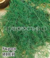 10008362_mini4 10008362_mini4