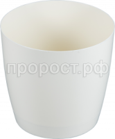 крокус сл к кр крокус сл к кр