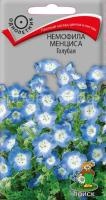 Немофила менциса Голубая
