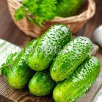 Огурец чижик Огурец чижик
