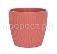 Эви Пудра БФ Эви Пудра БФ