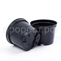 1l_litoj_izmenennyj.800x800