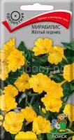 Мирабилис Желтый леденец
