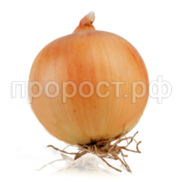 Лук репчатый Гордион 500г