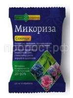 mikoriza_sazhentsy mikoriza_sazhentsy