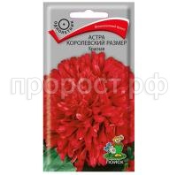 Астра-королевский-размер-Красная-0,1г-Поиск Астра-королевский-размер-Красная-0,1г-Поиск
