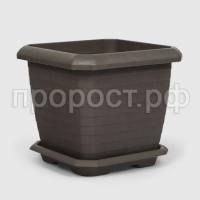 2450009836755_01 2450009836755_01