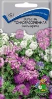 Вербена тонкорассеченная Смесь окрасок Вербена тонкорассеченная Смесь окрасок