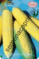 kukuruza-mirza-f1-niderlandy kukuruza-mirza-f1-niderlandy