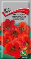 Настурция низкорослая Король Теодор Настурция низкорослая Король Теодор