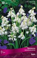 Пролеска колокольчатая Вайт (белая, 10шт, 7-8) 440206 Пролеска колокольчатая Вайт (белая, 10шт, 7-8) 440206