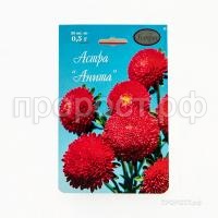 Астра Помпонная красная Анита 20 0,5 Каприс Астра Помпонная красная Анита 20 0,5 Каприс