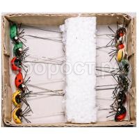 божкоровка