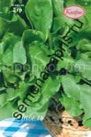 щавель широколистный