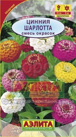 Цинния Шарлотта смесь 