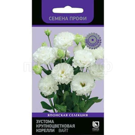 Эустома крупноцветковая Корелли Вайт 5шт