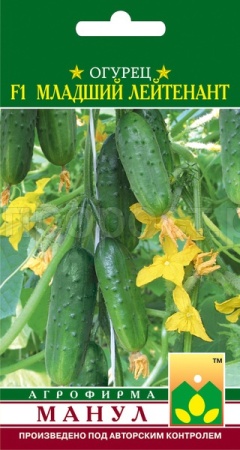 Манул Огурец Младший лейтенант F1 10 шт