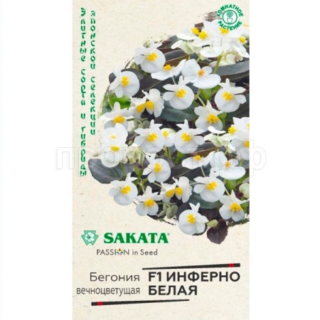 Бегония Инферно белая F1, гибридная 4 шт